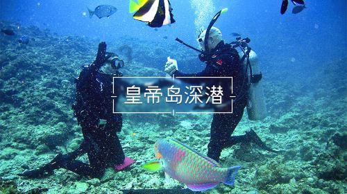 幸运数字
